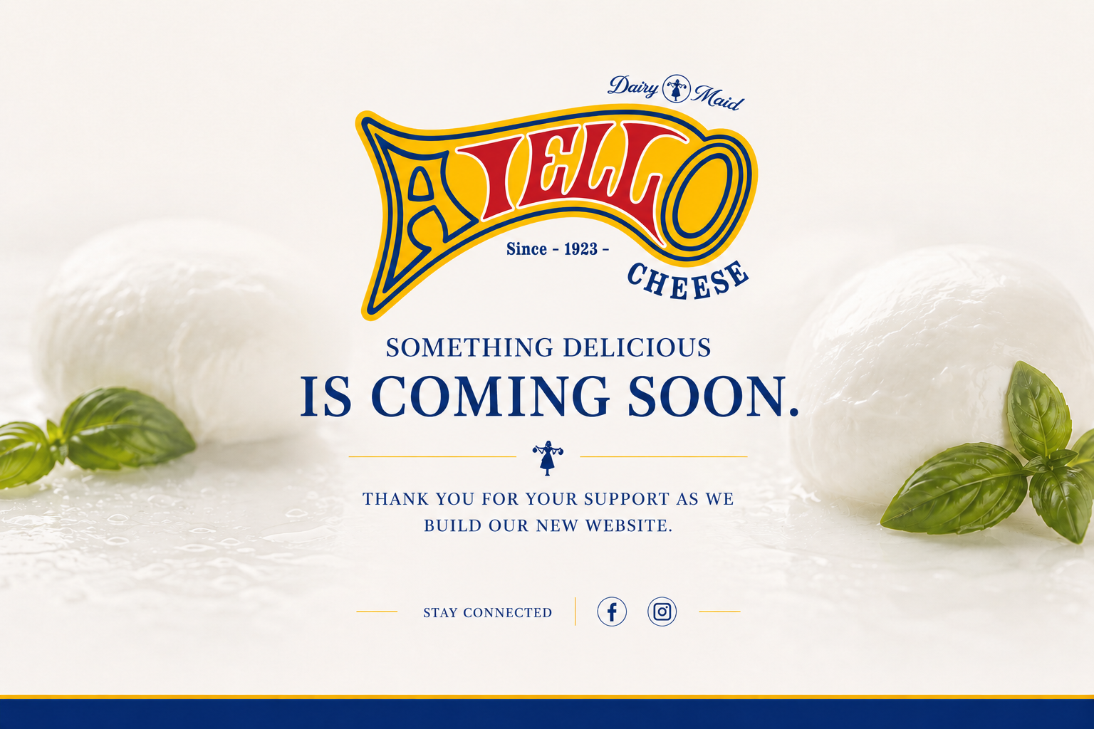 Aiello Cheese — Dairy Maid, since 1923. Something delicious is coming soon.